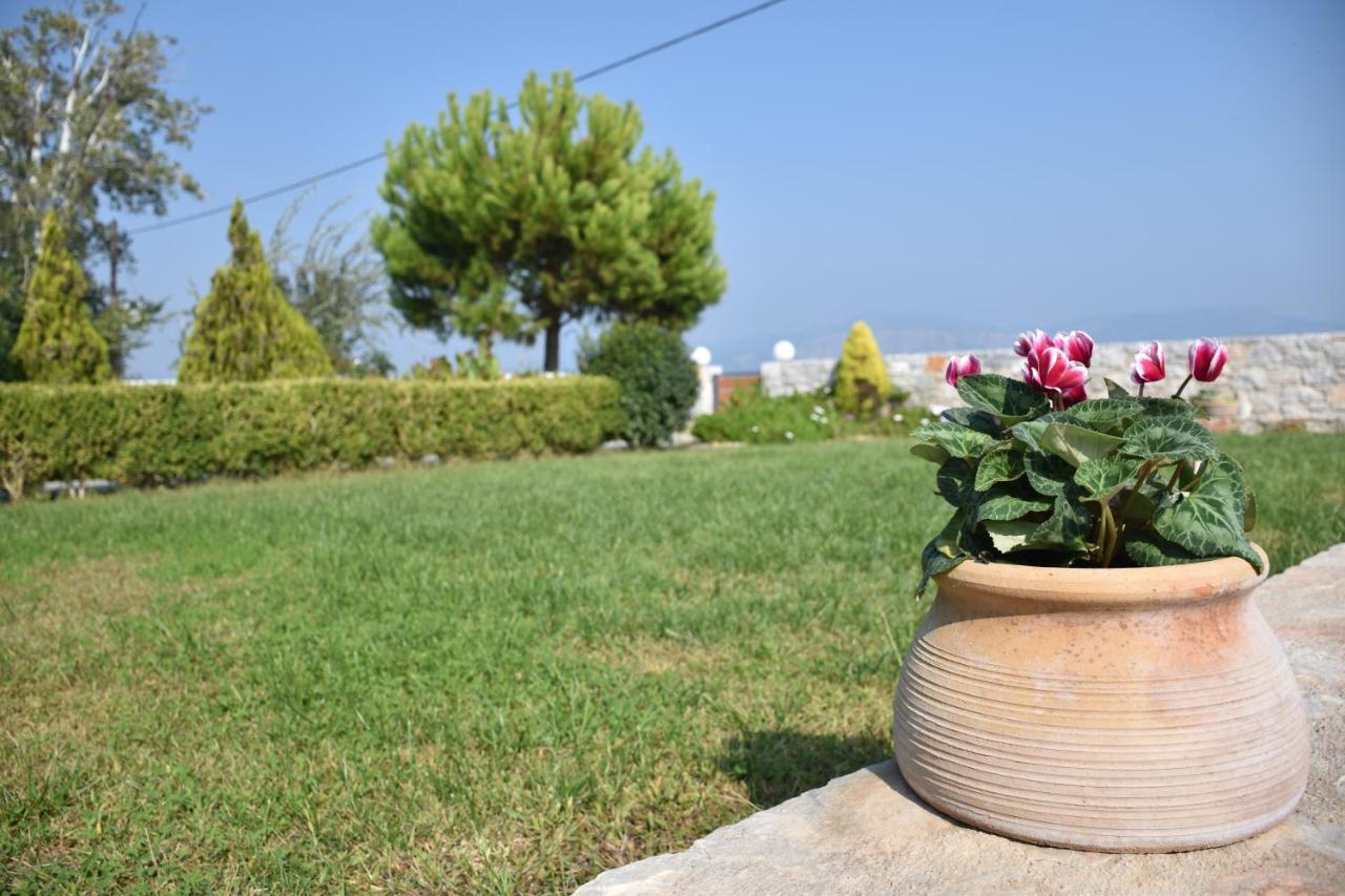 Villa Aggemari Apidias Lakos Ngoại thất bức ảnh